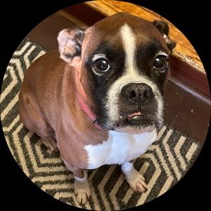 Meet your Posher, Reba